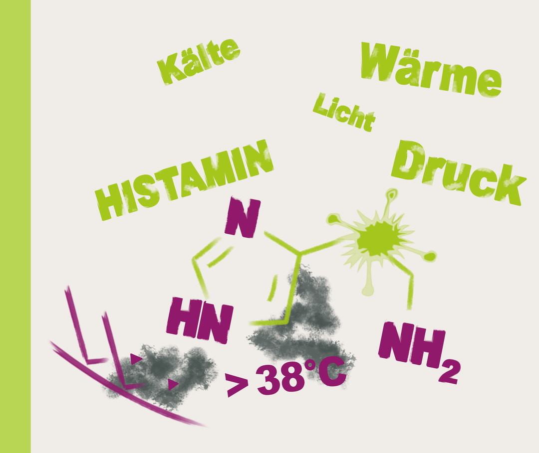 Nesselsucht-Formen: Chronische induzierbare Nesselsucht Illustration mit einer Begriffswolke: Kälte, Licht, Wärme, Histamin, Druck.