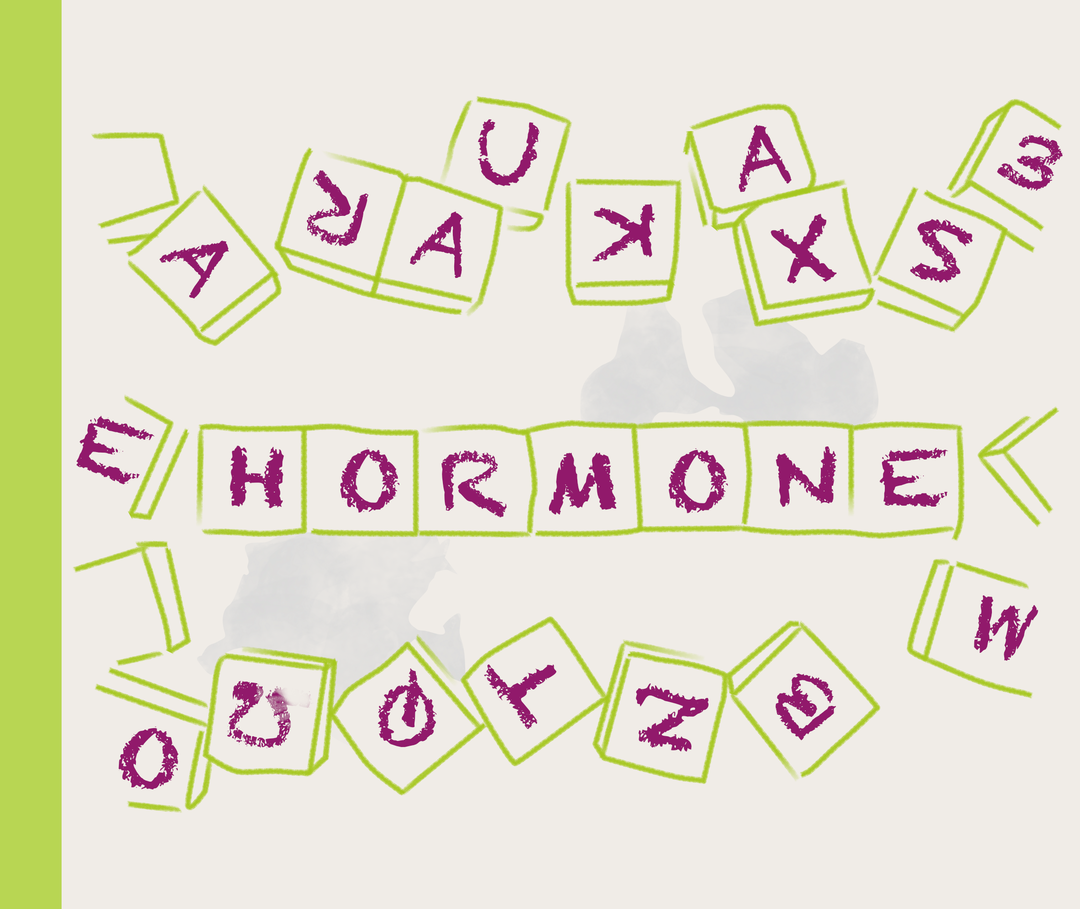 Nesselsucht-Ursachen: Illustration Hormone Illustration von mehreren Buchstaben. In der Mitte ist das Wort Hormone gelegt.