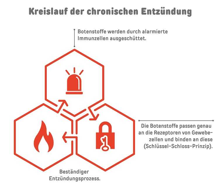 Infografik mit drei Icons: einem Blaulicht, einer Flamme und einem Schlüssel-Schloss-Symbol. Sie soll den Kreislauf der chronischen Entzündung darstellen: Botenstoffe werden durch Immunzellen ausgeschüttet, die genau an die Rezeptoren von Gewebezellen binden und damit einen beständigen Entzündungsprozess auslösen. 