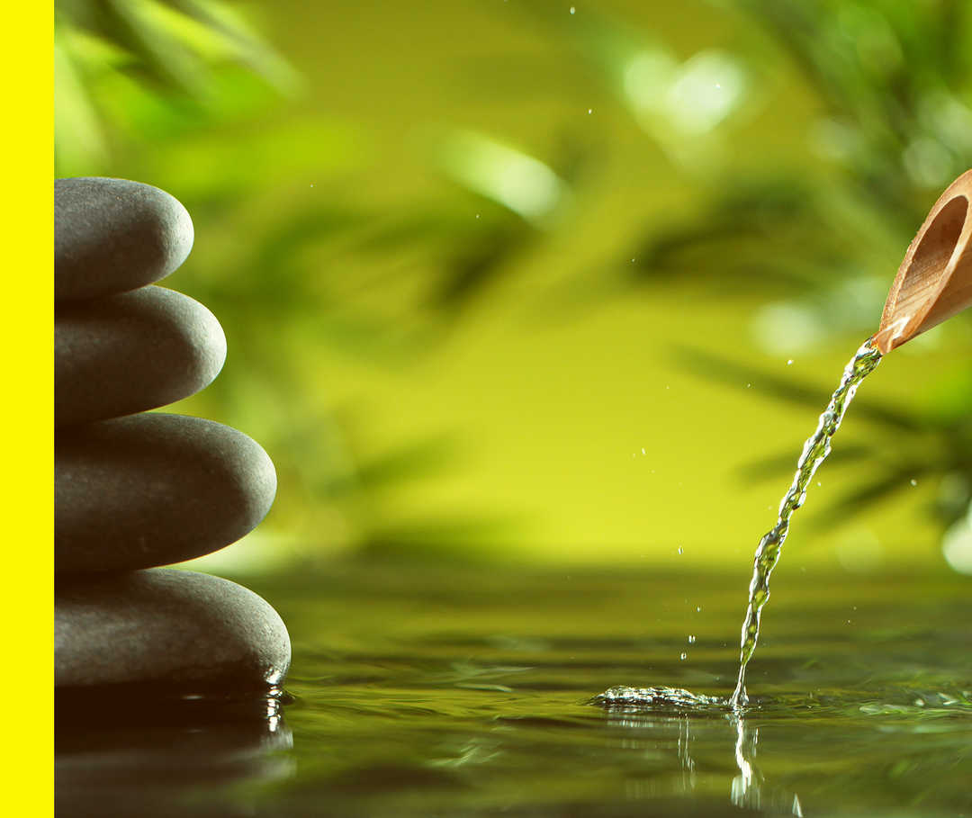 Ein asiatischer Garten