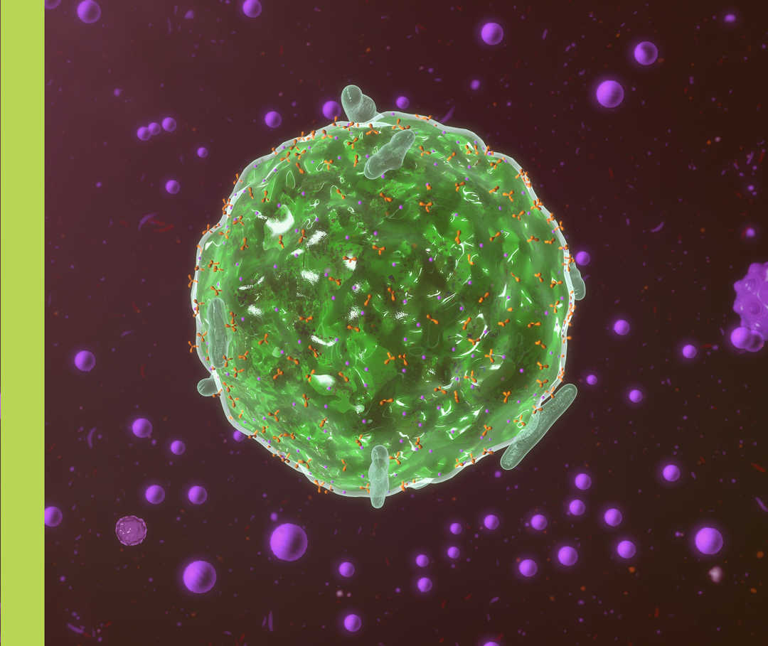 Grafische Darstellung einer grünen Körperzelle vor einem violetten Hintergrund.