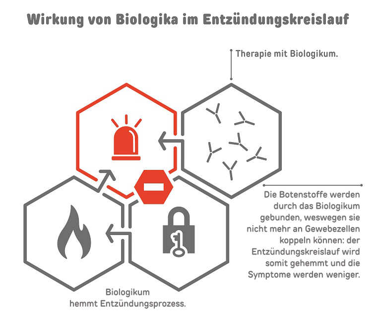 Infografik mit vier Icons: ein Blaulicht in Rot sowie symbolisierte Antikörper, eine Flamme und ein Schlüssel-Schloss-Symbol jeweils in Grau. In der Mitte befindet sich ein „Durchfahrt verboten“-Schild. Die Grafik stellt die Wirkung von Biologika im Entzündungskreislauf dar: Durch die Therapie mit einem Biologikum werden die Entzündungsbotenstoffe gebunden und können keinen Entzündungsprozess mehr auslösen. 