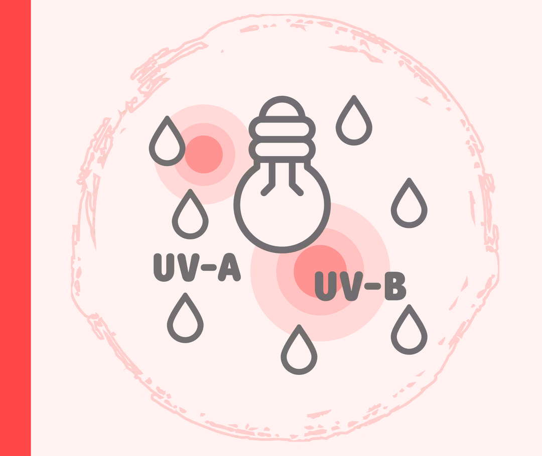 Grafik einer Glühbirne, darunter steht „UV-A“ und „UV-B“. 