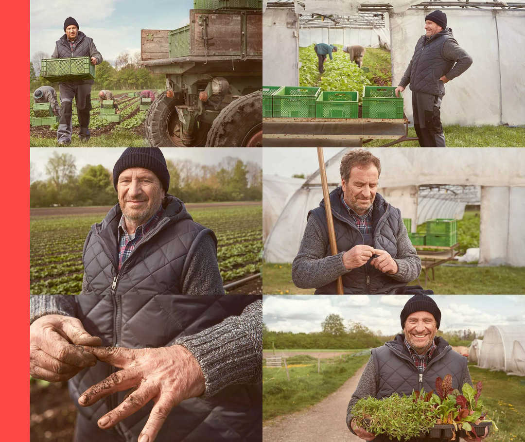 Eine Collage aus Bildern: Ein Mann in verschiedenen Arbeitssituationen auf dem Acker, bei denen er sich mal den Rücken hält, mal seine Finger betrachtet.